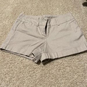 Business Casual Shorts
